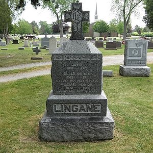 John Lingane, 2nd class, Oak Grove Cemetery, Chelsea, , Michigan, U.S.A 1 (2).jpg