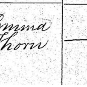 Birth Certificate of other Harry Thorne