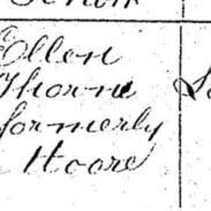 Birth Certificate of Harry Thorne (Titanic Victim)